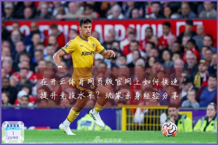 在开云体育网页版官网上如何快速提升竞技水平？玩家亲身经验分享！