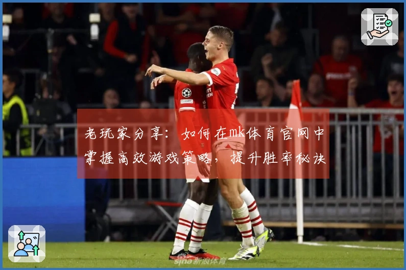 老玩家分享：如何在mk体育官网中掌握高效游戏策略，提升胜率秘诀