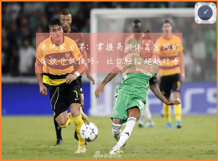 老玩家分享：掌握易游体育官网的高效升级技巧，让你轻松超越对手