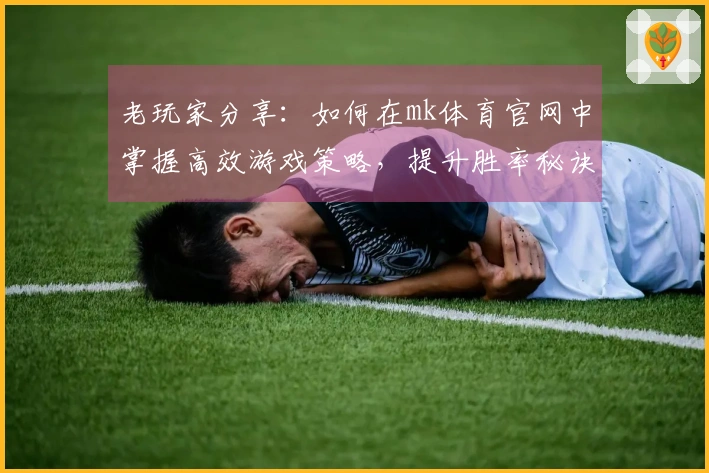 老玩家分享：如何在mk体育官网中掌握高效游戏策略，提升胜率秘诀