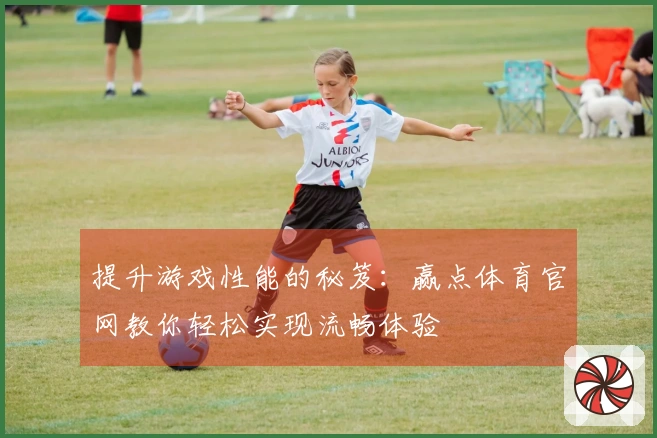 提升游戏性能的秘笈：赢点体育官网教你轻松实现流畅体验